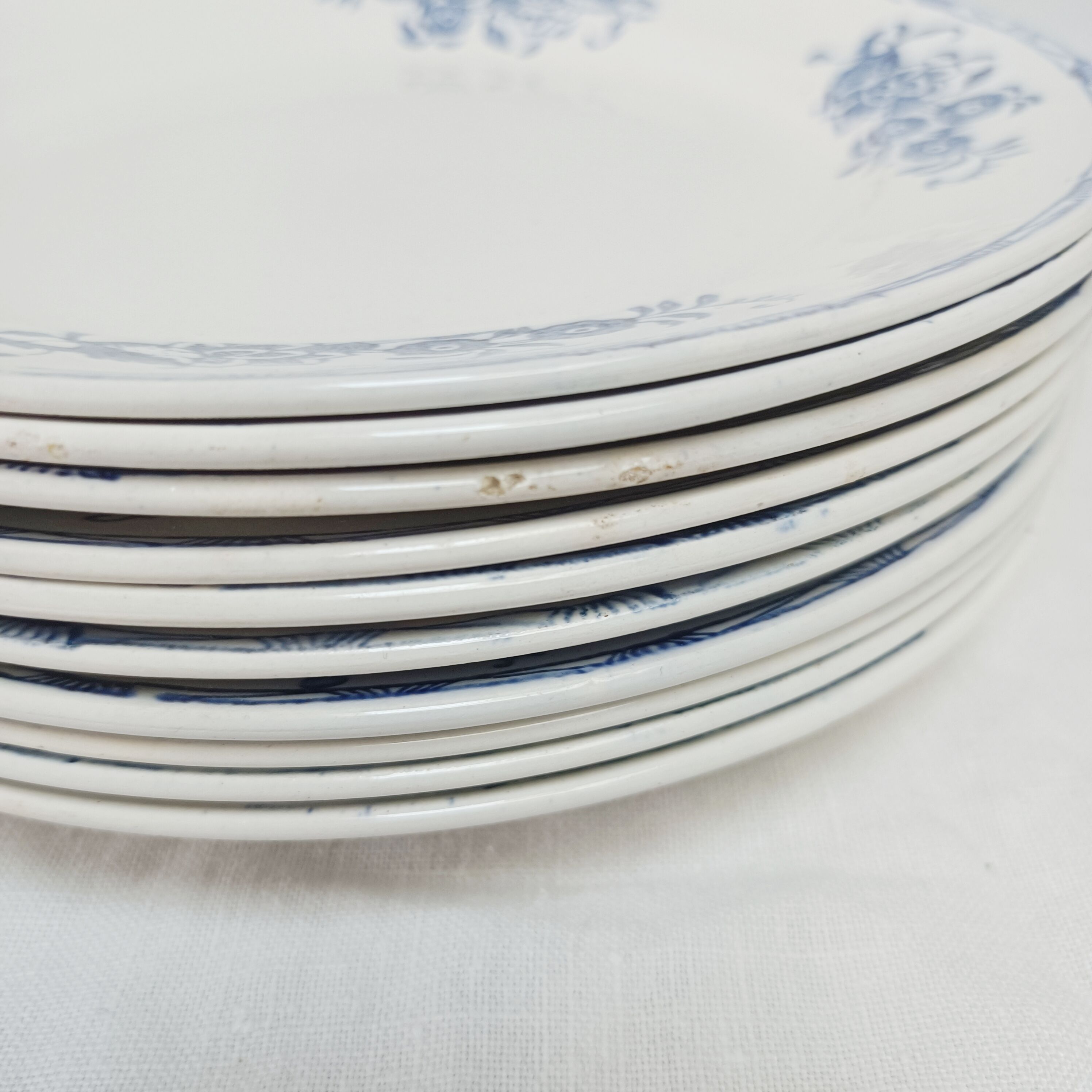 Set of 10 dessert plates, Saint-Amand, iron land, blue flowers