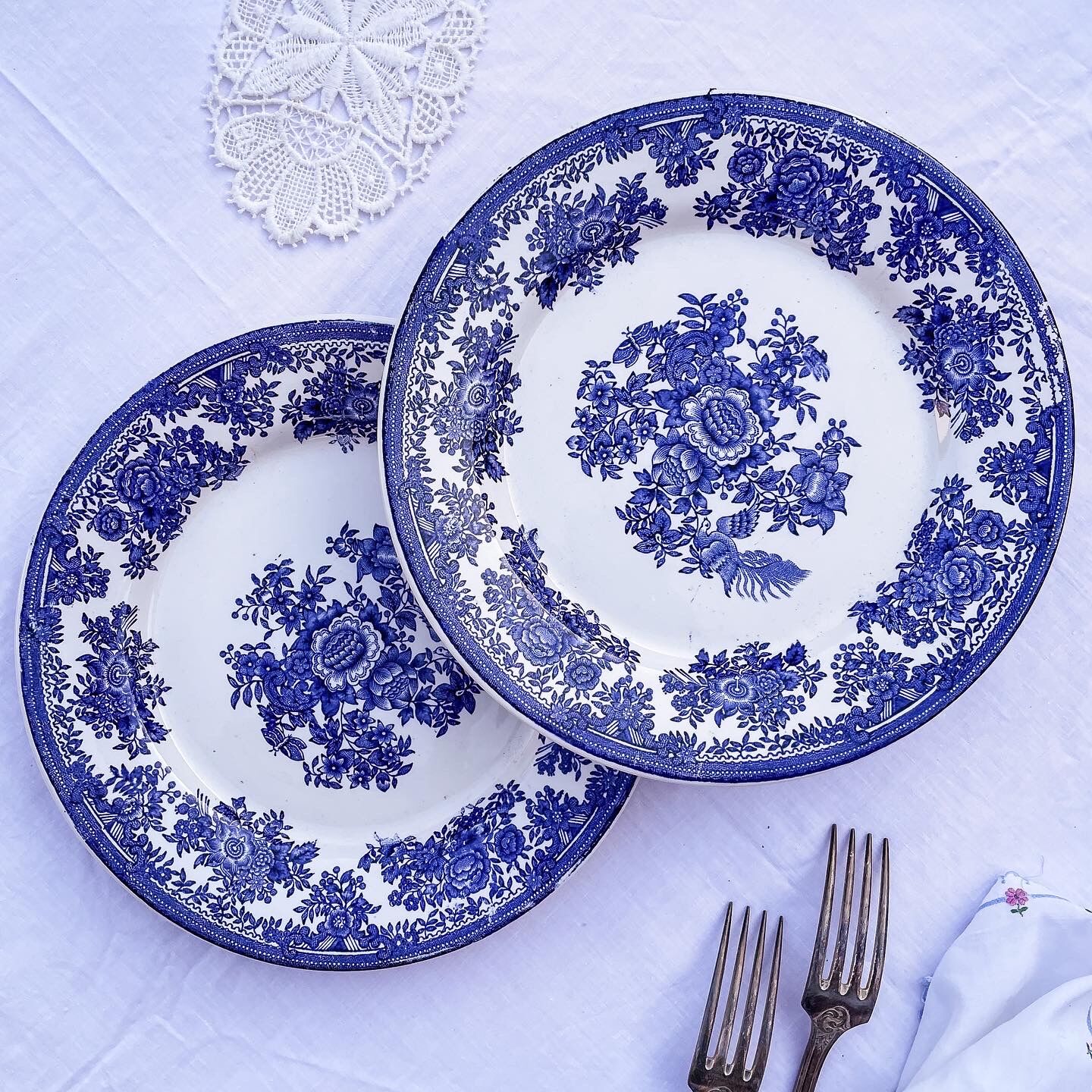 Duo of 2 flat plates Portuguese iron earth