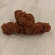 Rose des sables