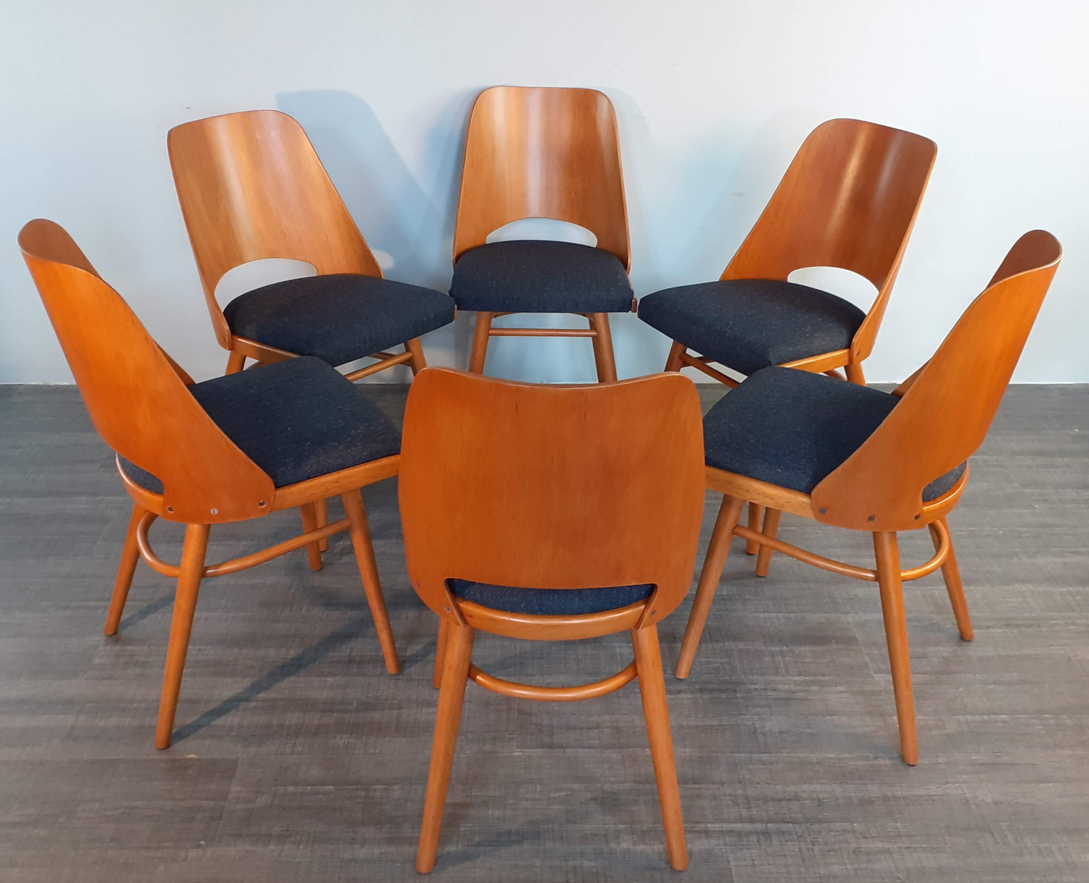 Set of 6 renovated chairs, design Oswald Haerdtl by Ton, Czech, 1960s