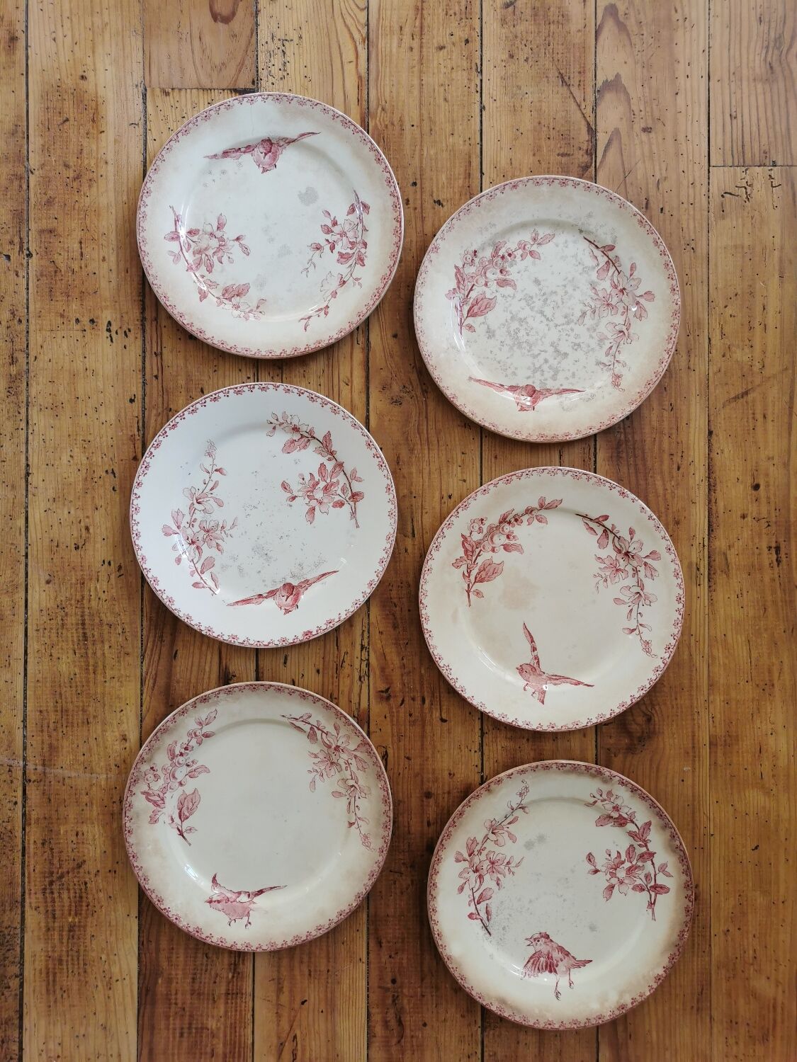 Assiettes anciennes Sarreguemines "Favori"