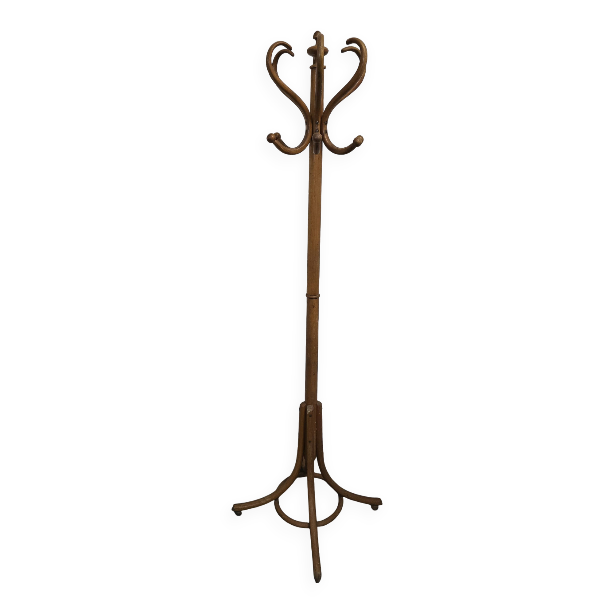 Parrot coat rack in curved wood