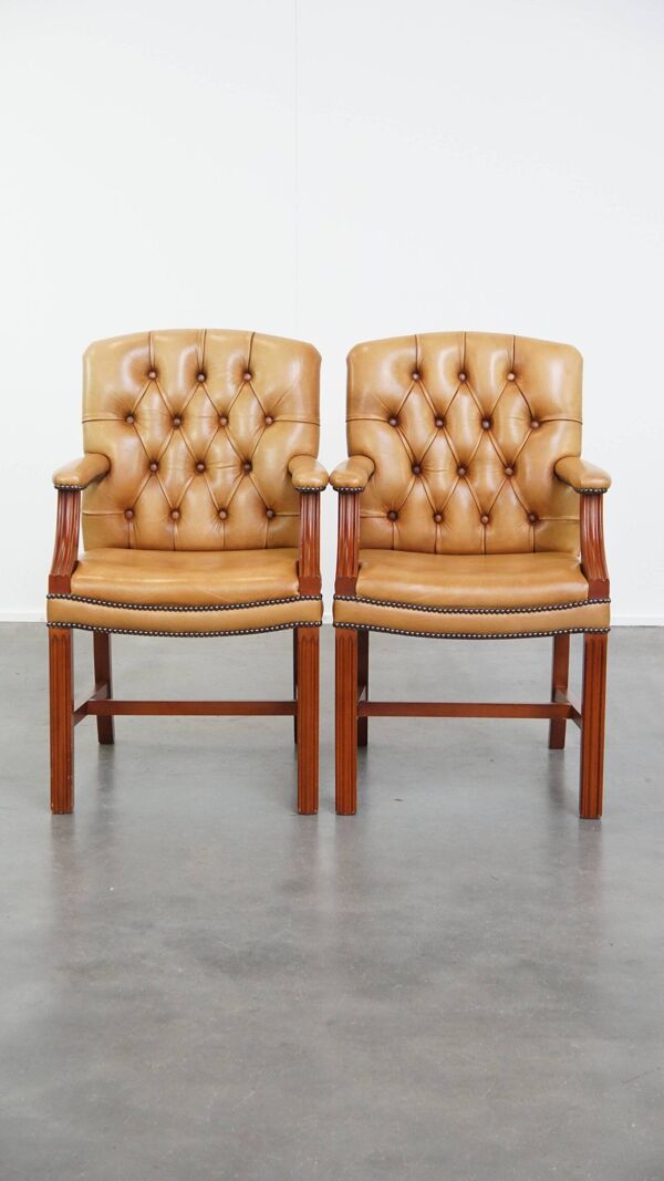 Ensemble de 5 belles et luxueuses chaises de salle à manger/conférence Chesterfield en cuir de vache de couleur cognac clair
