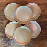 CNP stoneware plates