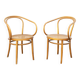 Pair of armchairs model 209 attributed to Thonet, 1970