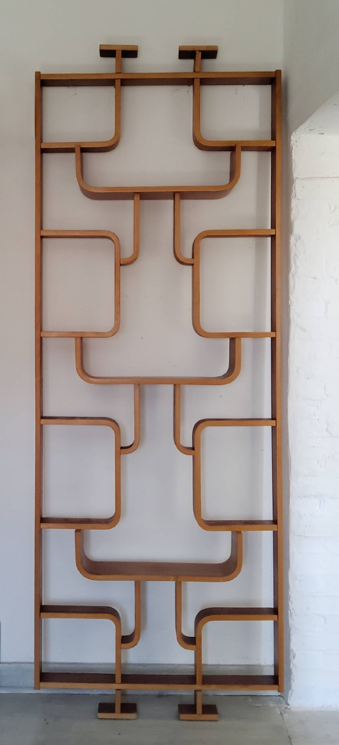 Vintage Czech screen by Ludvik Volak, 1960 for Drevopodnik Holesov