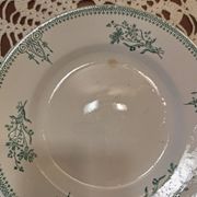 Set of 2 Sarreguemines 4003 plates with green arabesques and flowers