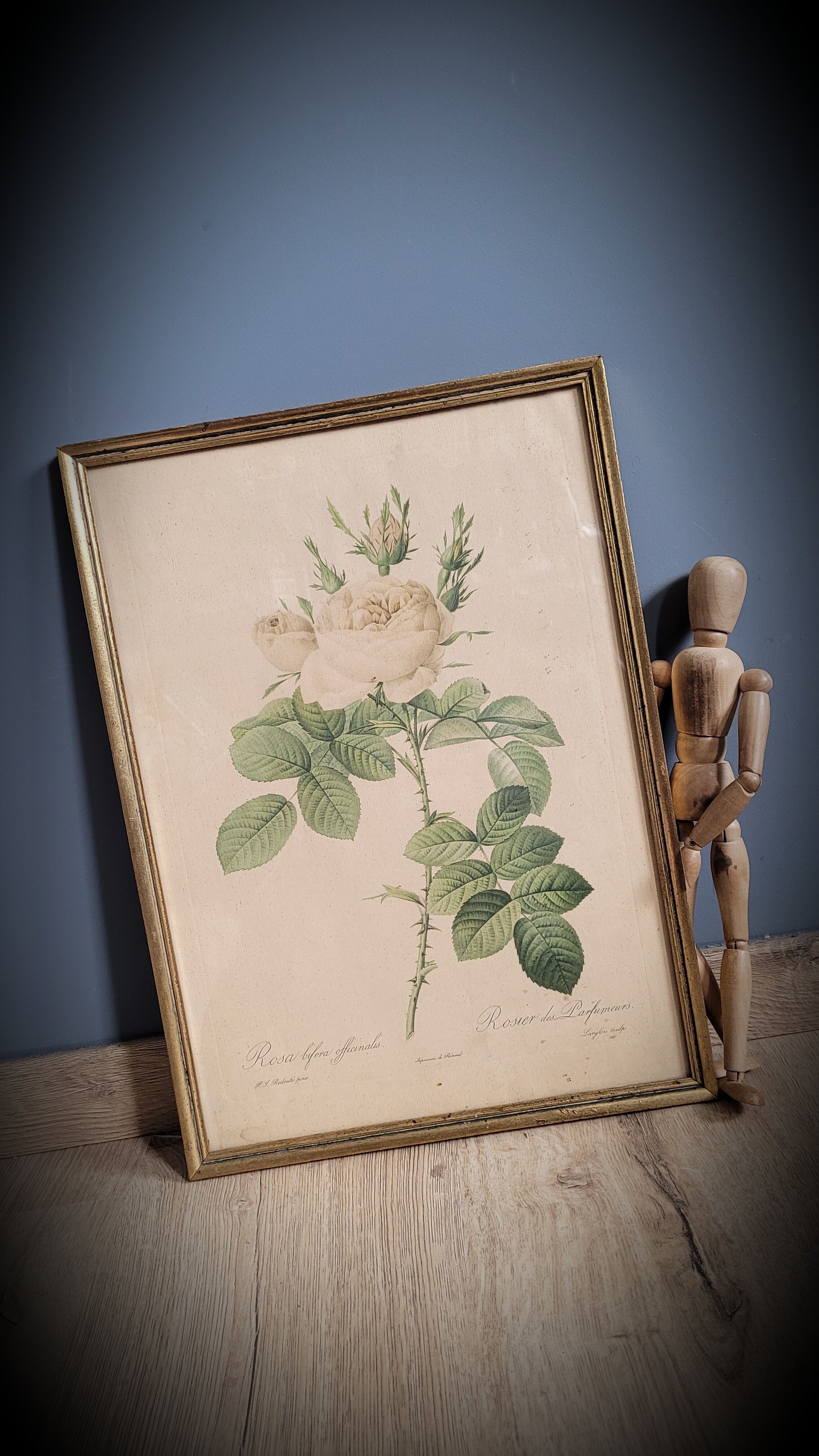 Litho rosier perfumers