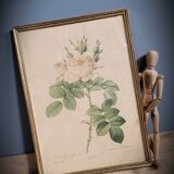 Litho rosier perfumers