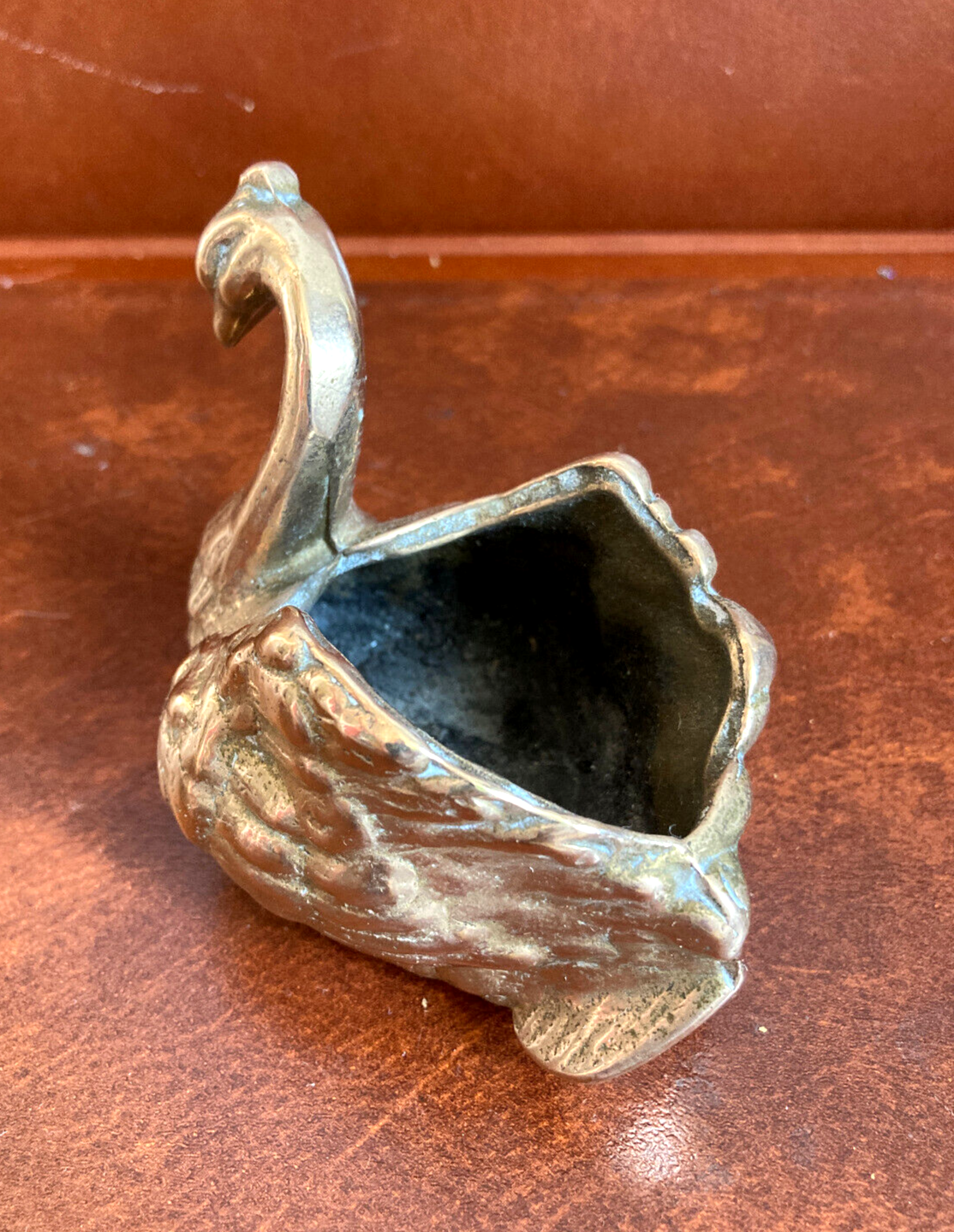 Empty pocket - bronze swan