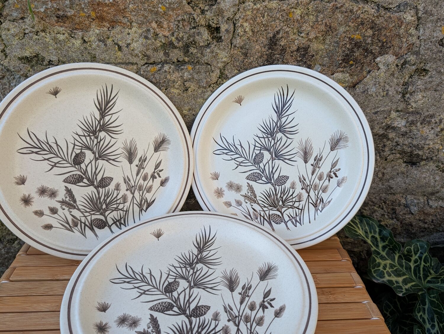 Assiettes Pinewood Grindley Angleterre années 70