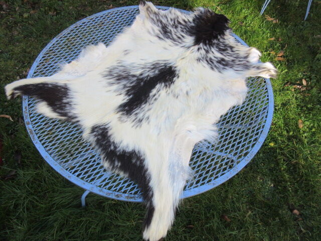 Goat skin