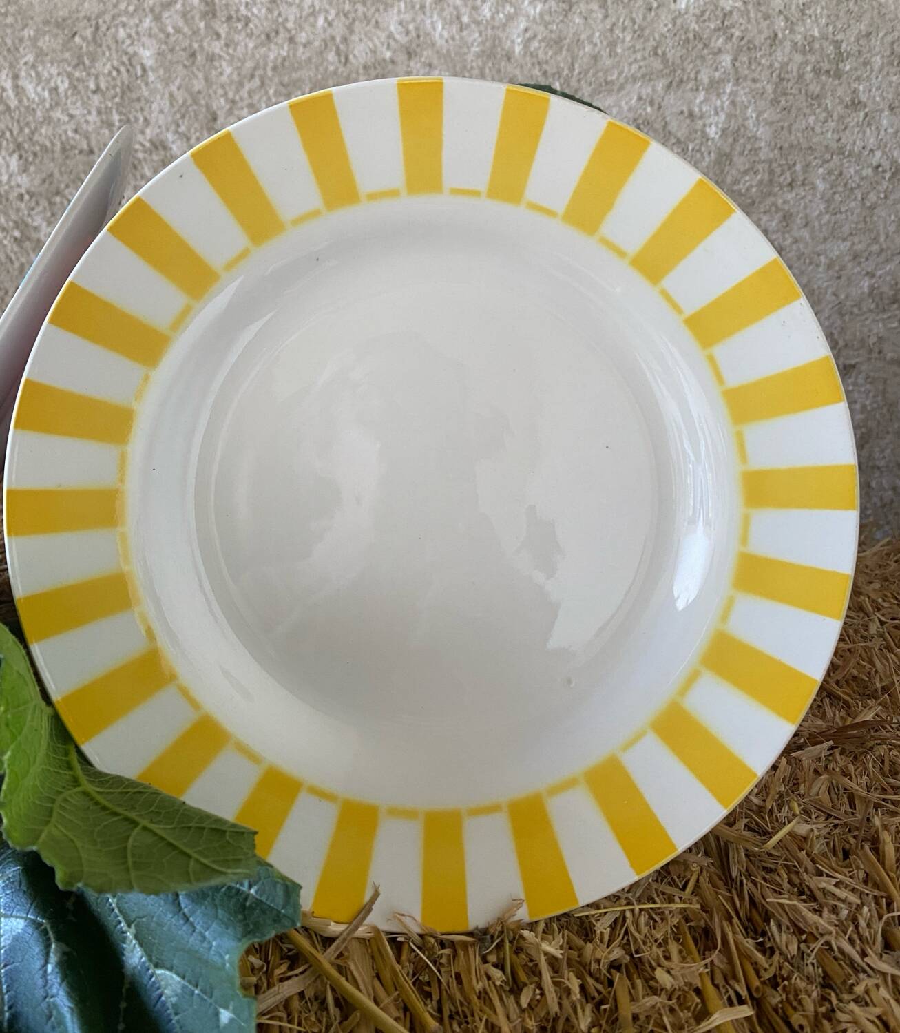 Set of 2 Digoin Sarreguemines dinner plates