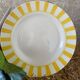 Set of 2 Digoin Sarreguemines dinner plates