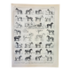 Gravure ancienne 1898, Chevaux , race, anatomie, course • Lithographie, Planche originale