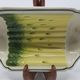 Salins earthenware slip dish decorated with asparagus, French, yellow and green, 20th century