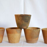 5 old terracotta pots