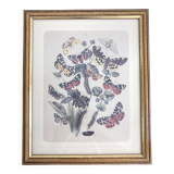 Very beautiful botanical lithograph with vintage butterfly 2