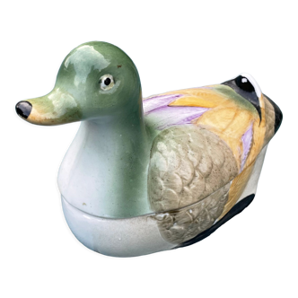 Duck in slip