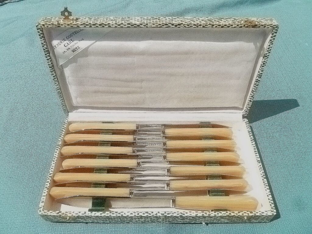 Coffret de 12 couteaux carl