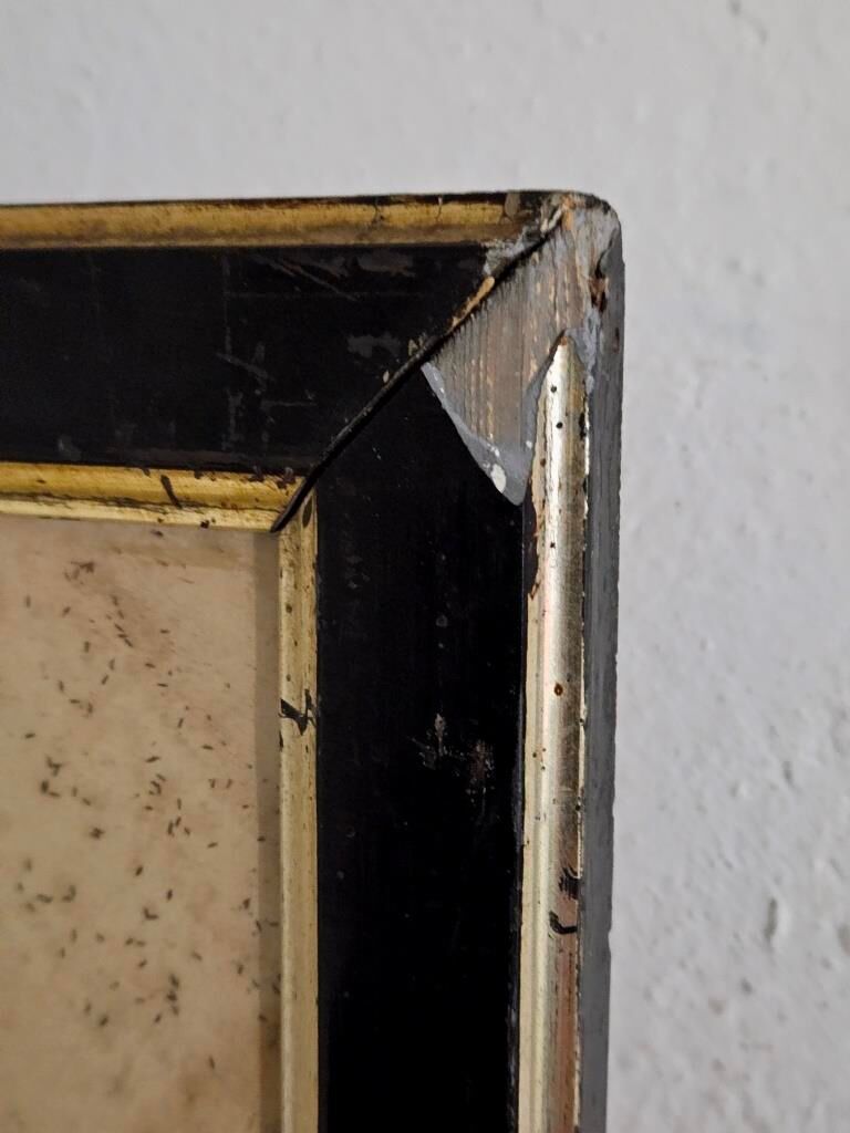 Portrait of the little sailor