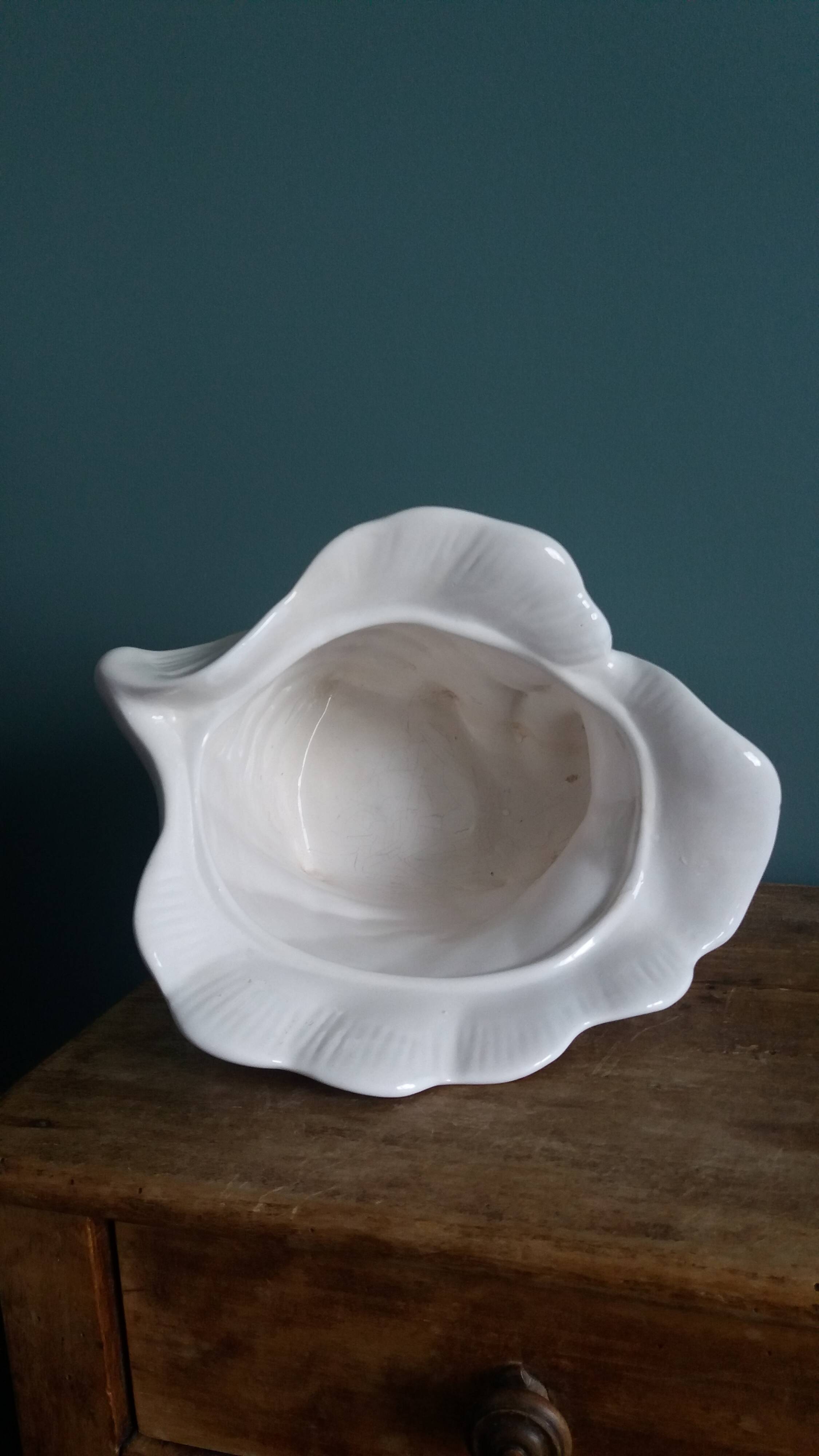 Ceramic conch shell, plant pot or trinket dish.