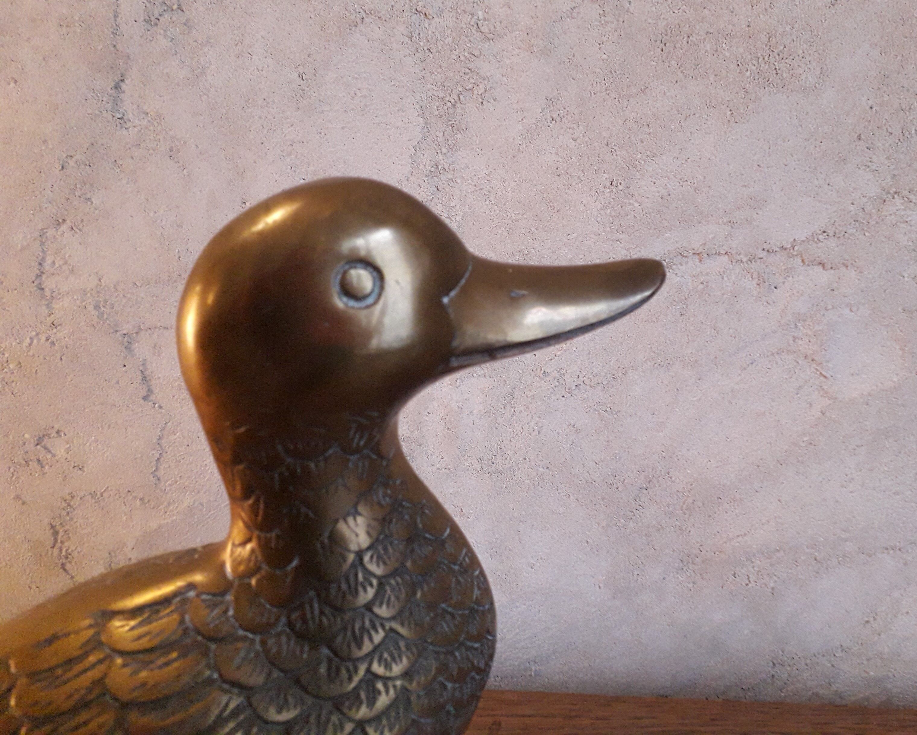 Brass duck