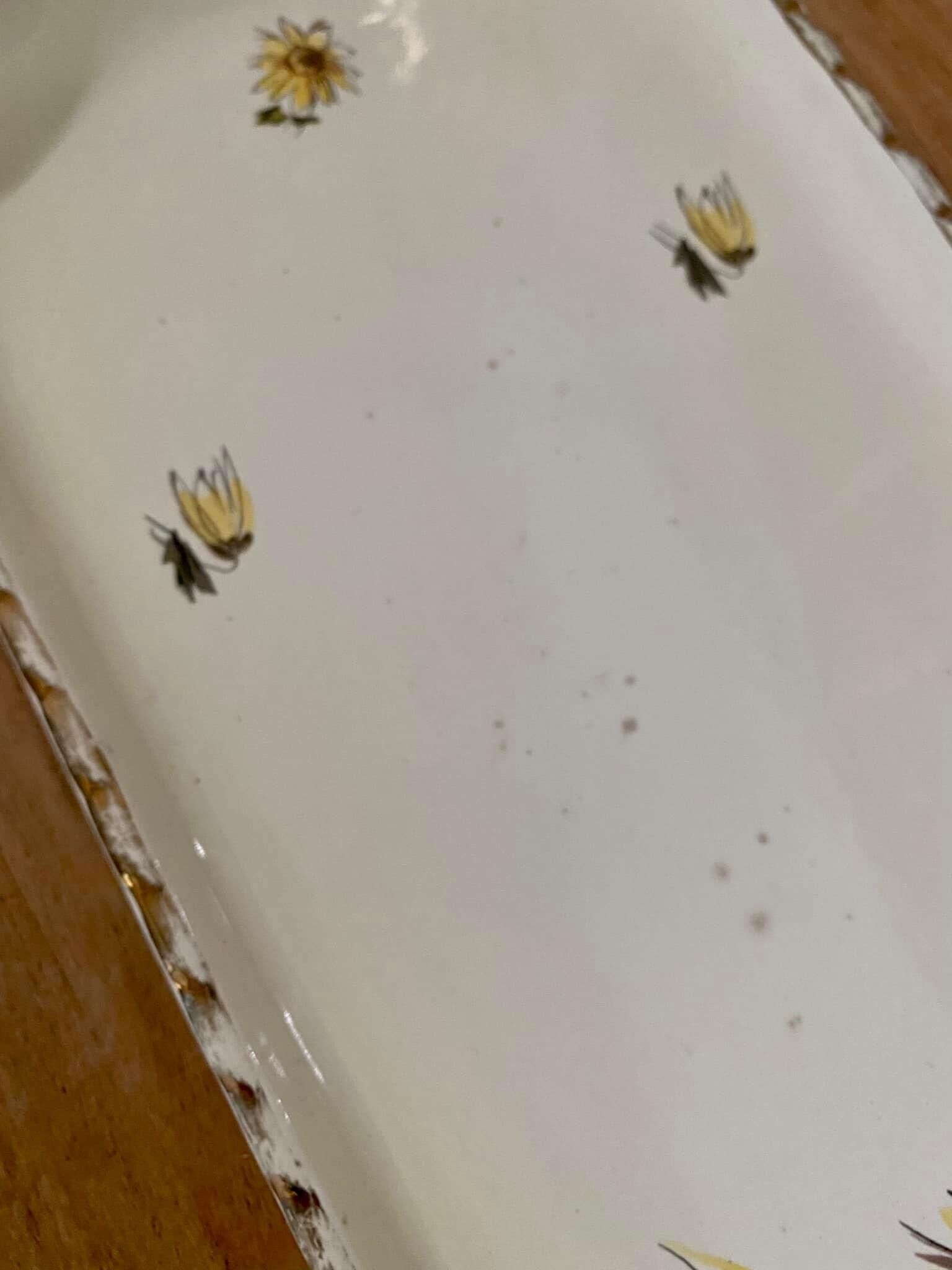 Salins France earthenware cake dish