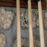 American billiards René Pierre Carrousel