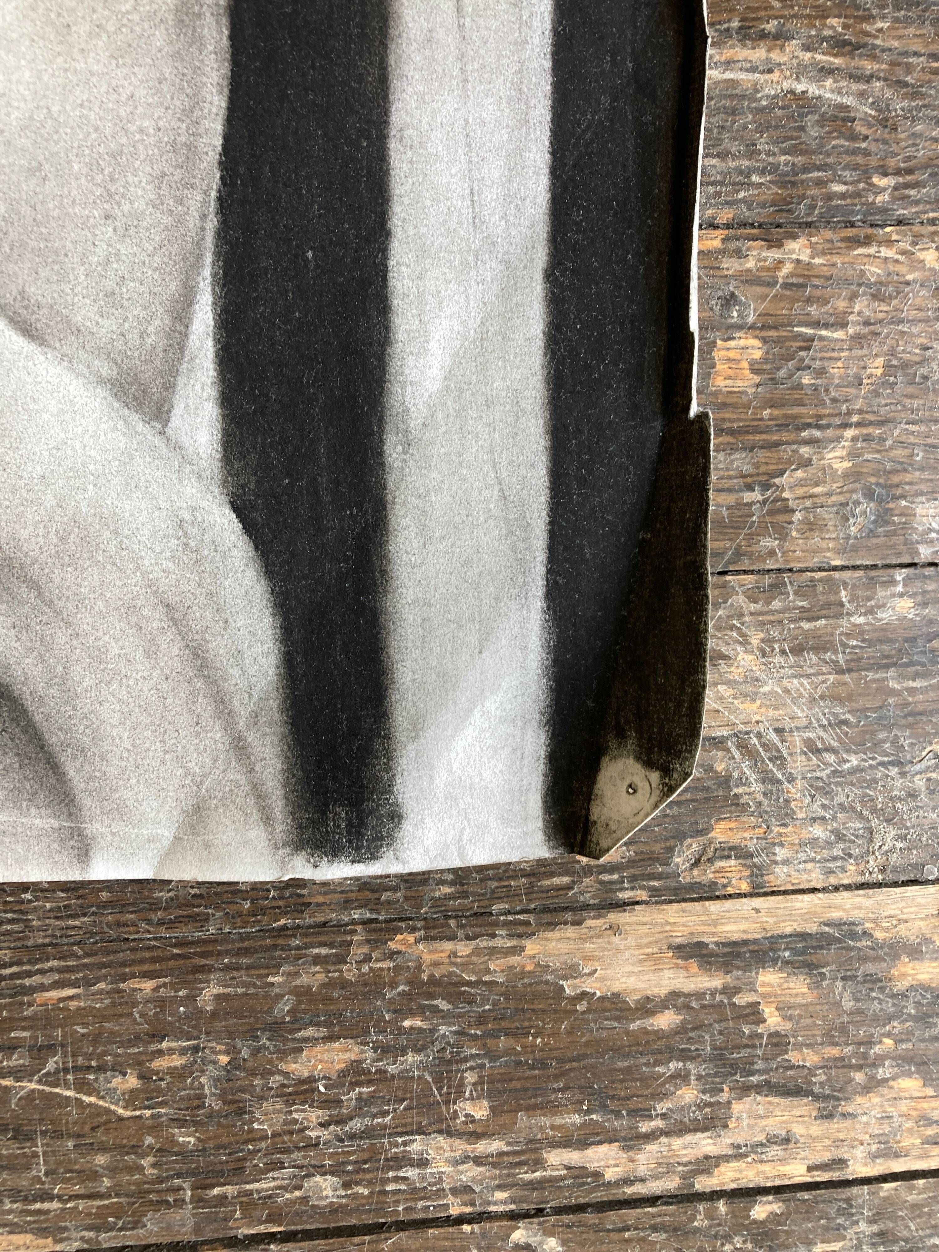 Bust of Venus in charcoal Neoclassical workshop work 1920