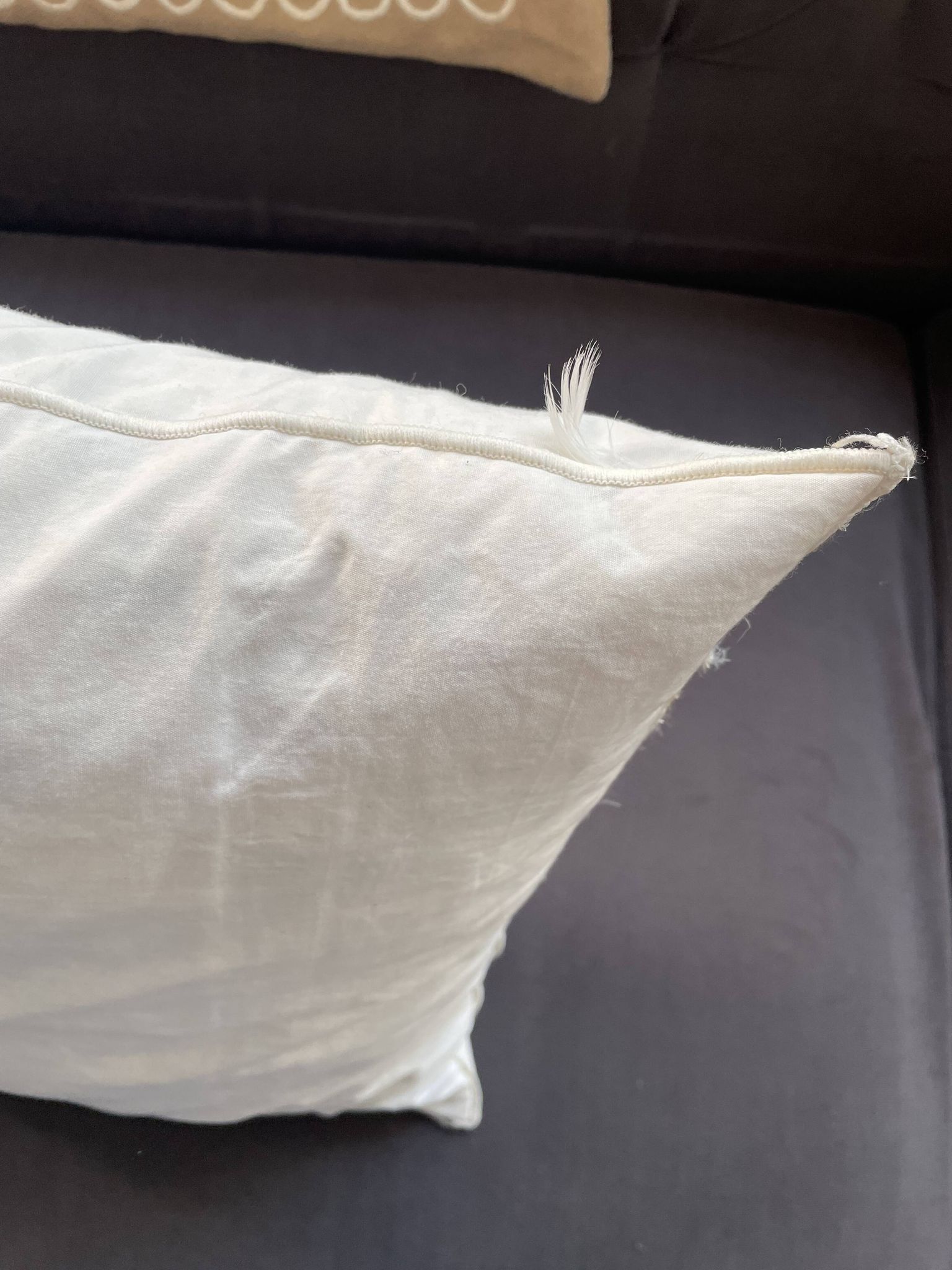 Coussin Pierre Frey Paris 40x40 laine brodée – garnissage plumes