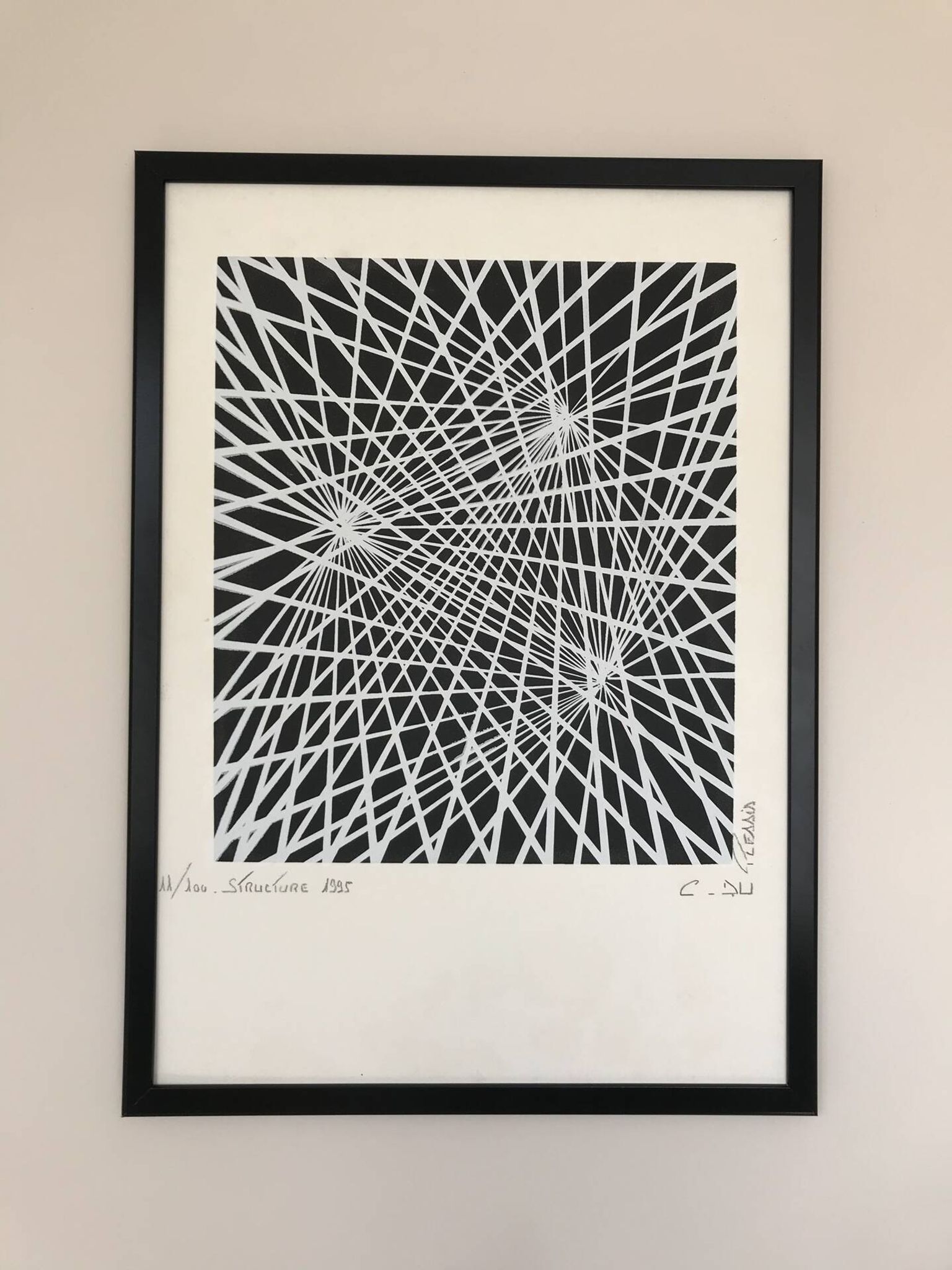 Kinetic Art. Signed and framed lithograph by C. du PLESSIS.