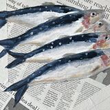 “Sardines in USA” by Joseph Rethlin
