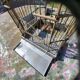 1900 Bird Cage Feeder and Drinker