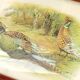 Pheasant painting