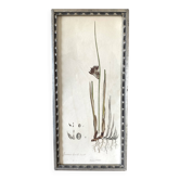 Botanical plate 1830, glazed wooden frame