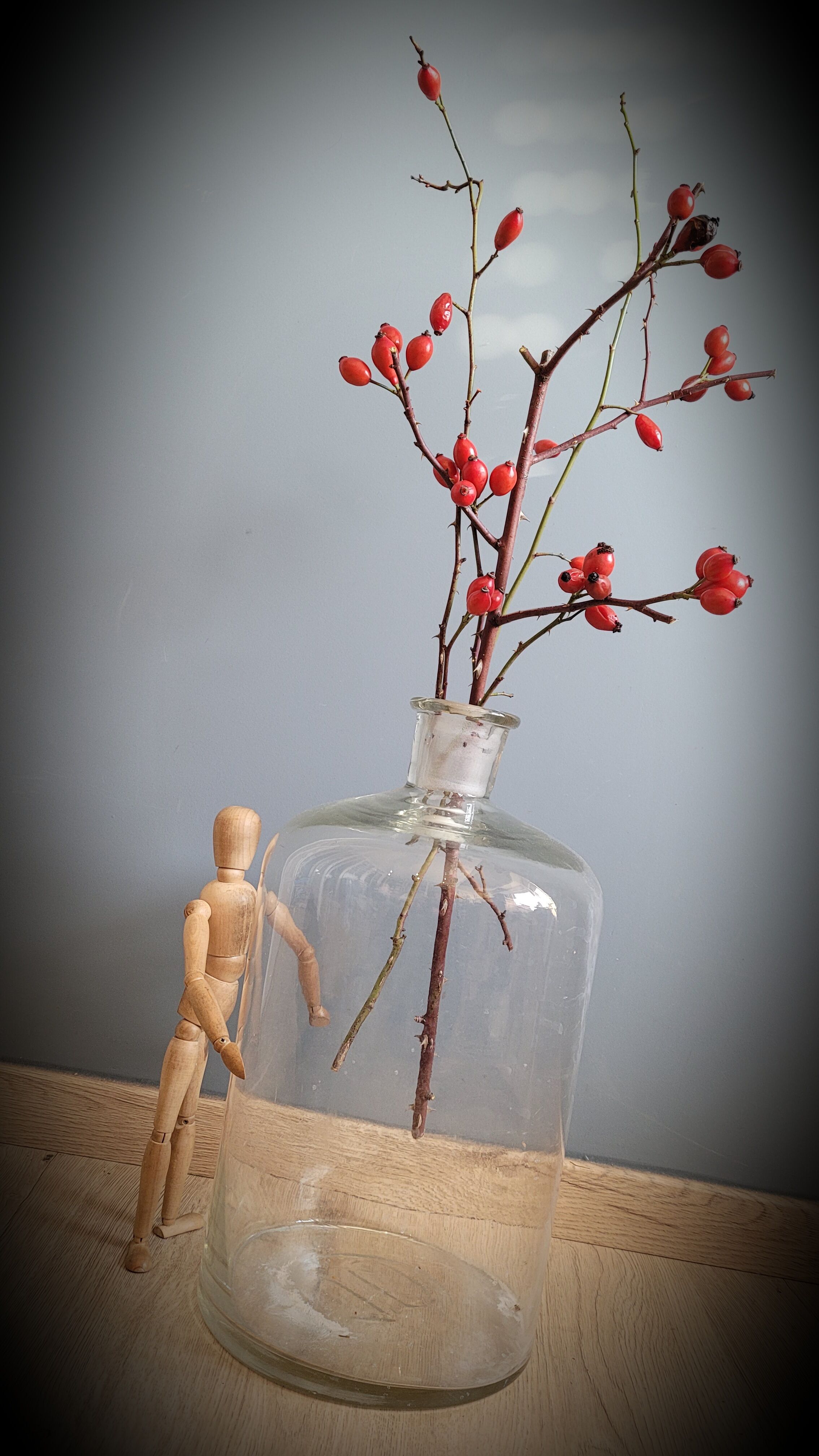 Transparent 10L apothecary bottle