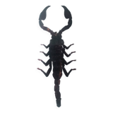 Authentic Scorpion in resin inclusion