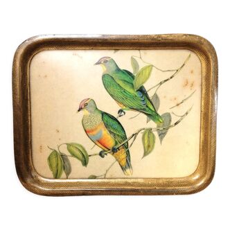 Vintage fiber bird tray