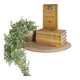 Small shelf "Augustine"