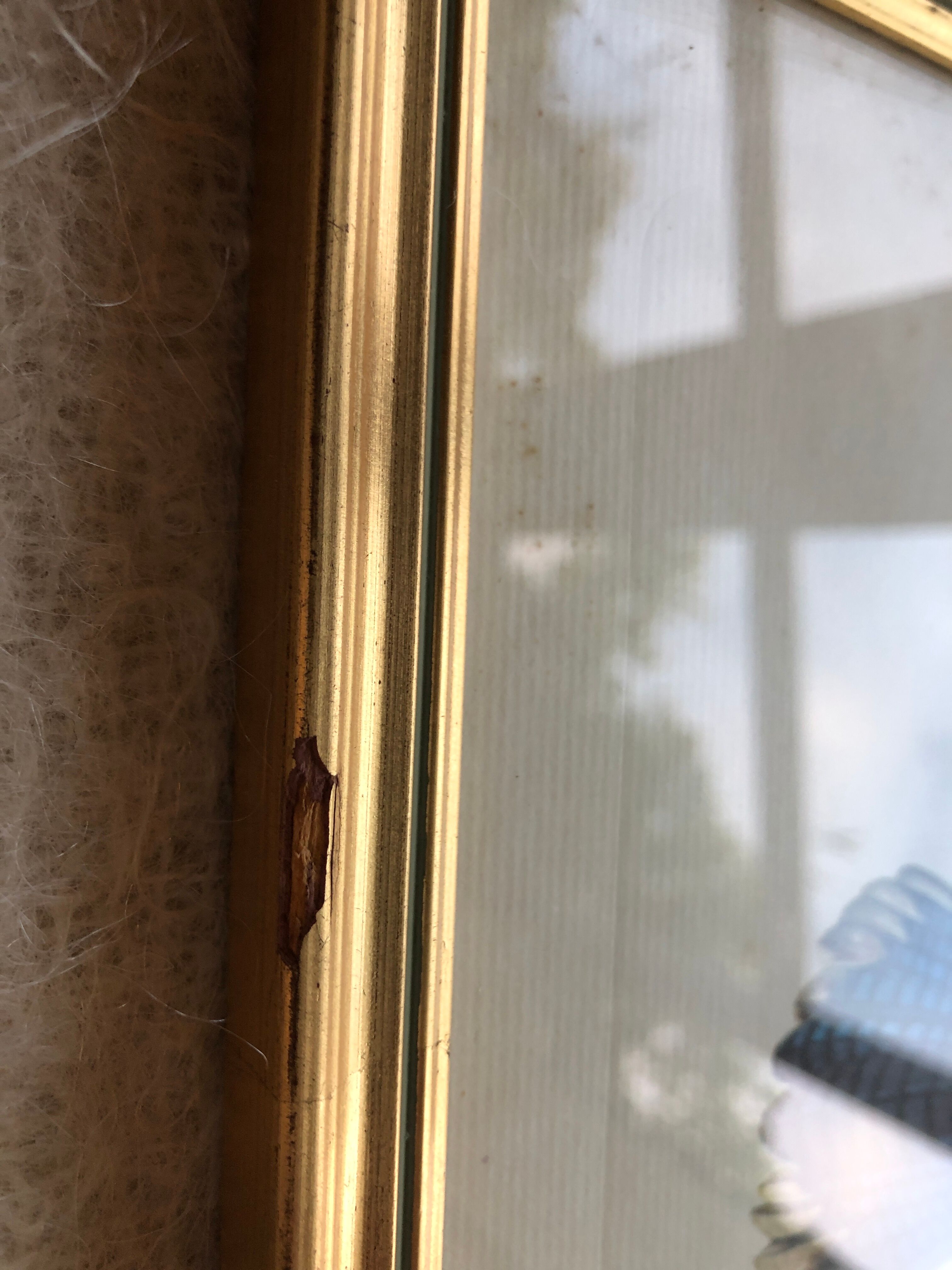 Engraving under glass "Blue Jay"