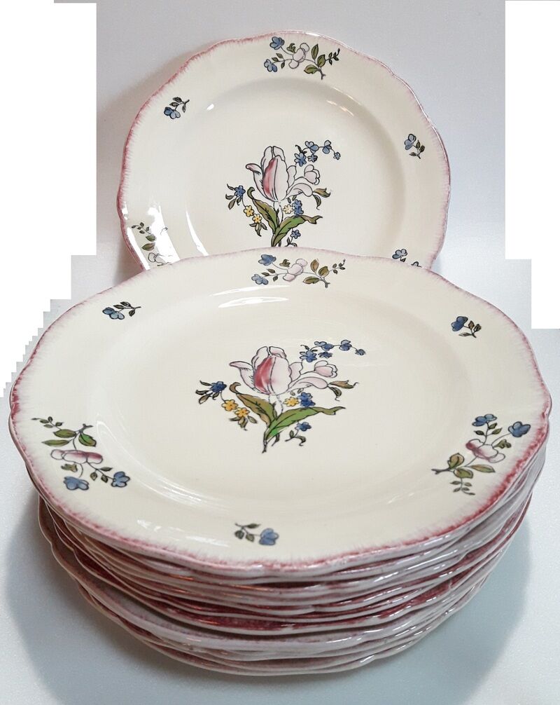 Set of 13 plates Gien earthenware 25cm