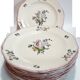 Set of 13 plates Gien earthenware 25cm