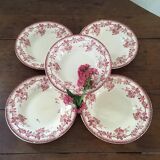 Set of five iron earth soup plates