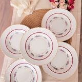 soup plates