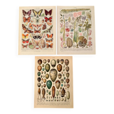 Reserved Laurence - Lot of 3 20th century lithos