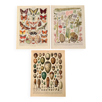 Reserved Laurence - Lot of 3 20th century lithos