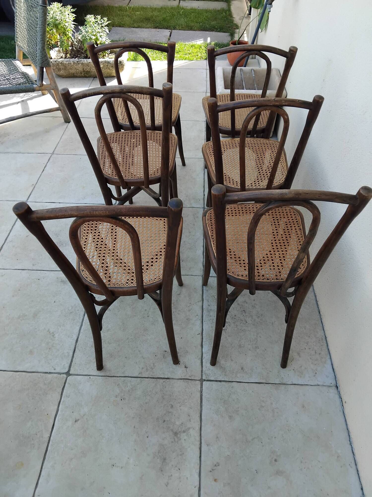 6 antique bistro chairs with curved wood and caning from 1900 L&H Cambier Frères