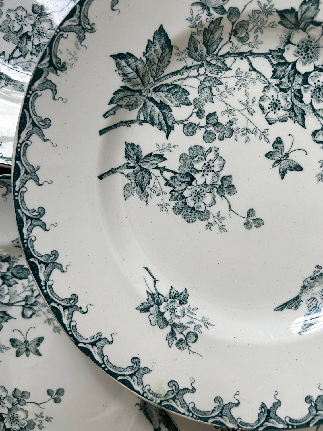 Series of 6 old flat plates “Terre de Fer”