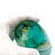 Bubble Glass Vase Signed Didier Saba Biot 2001